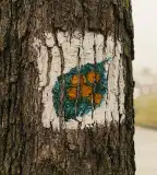 Berkenye Tanösvény, Veszprém