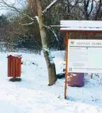 Fenyves tanösvény, Veszprém