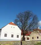 Hertelendy kúria, Vindornyalak