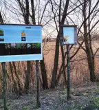 Kékperjés tanösvény, Vindornyaszőlős