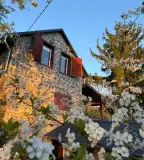 Vinea Apartman, Vindornyaszőlős