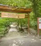 Bertényi Miklós Fűvészkert, Visegrád