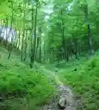 Erdőanyai Tanösvény, Visegrád