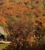 Madas László Erdészeti Erdei Iskola, Visegrád