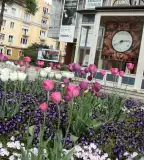 Földön járó toronyóra, Zalaegerszeg