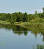 Kis-Balaton, Zalavár