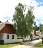 Bohém Birtok és Csárda, Zamárdi