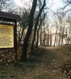 Szamárkő, Zamárdi