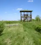 Kisvátyoni Tanösvény, Zsadány