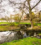 Zárdakert, Zsámbék