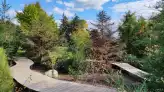 Badacsonytomaj Folly Aroretum 002