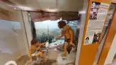 Magyar Foldrajzimuzeum 2