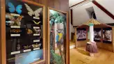 Magyar Foldrajzimuzeum 3