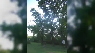 Acs Hetvezer Facsoport