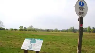 Agasegyhaza Rekettye Tanosveny