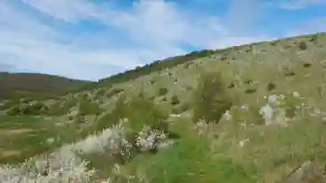 Aggtelek Baradla Tanosveny