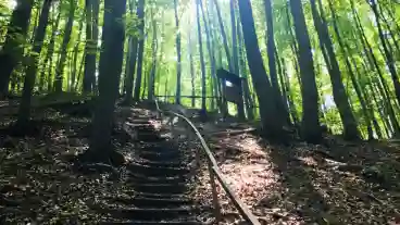 Ajka Sarcsikut Tanosveny 04