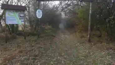 Albertirsa Dolina Volgyi Tanosveny 1