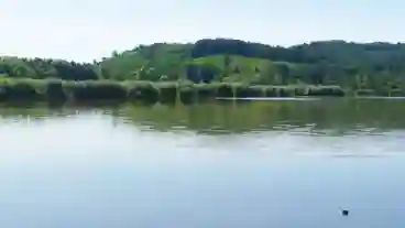 Almamellek Horgaszto