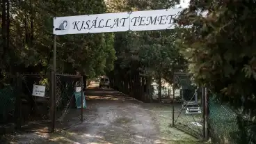 Alsonemedi Kisallattemeto