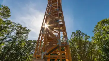 Alsopeteny Pronay Kilato