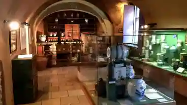 Arany Sas Patikamuzeum 3