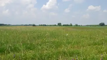 Asotthalom Csodaret Tanosveny