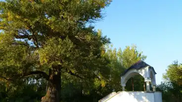 Asvanyraro Fekete Nyar 01