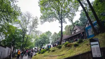 Négy napon át tart májusban az Avasi Borangolás