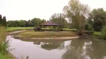 Babolnai Arboretum 1