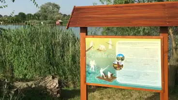 Bacsbokod Kigyozo Tanosveny 1