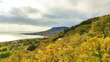 Badacsonytomaj Folly Aroretum 009