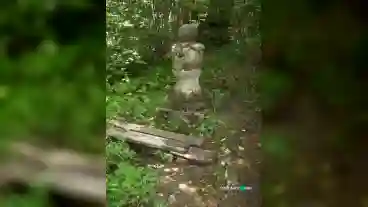 Bakonybel Szarvaskut Forras