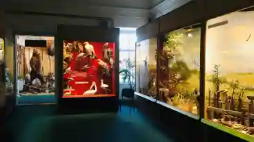 Bakonyi Termeszettudomanyi Muzeum 2