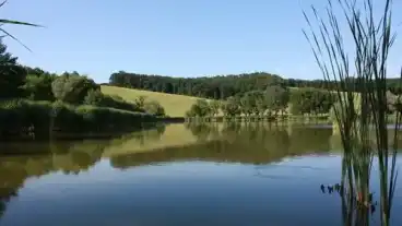 Bakonyszentkiraly Hajmasi To