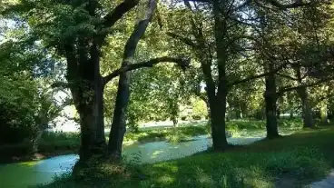 Bakonyszombathely Kastelypark