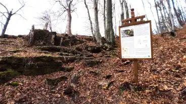 Bakonyszucs Koris Hegyi Ordoglik