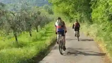 Balatonalmadi Kerekpartura