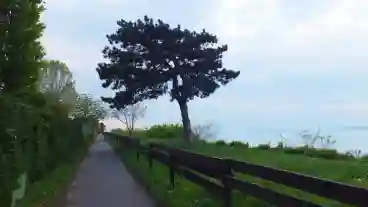 Balatonfoldvar Kelta Setany 1