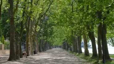 Balatonfoldvar Kvassay Setany 1