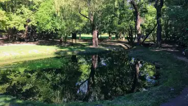 Balatonfured Koloska Volgy Tanosveny 04