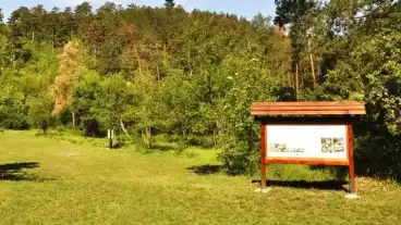 Balatongyorok Budoskuti Arboretum