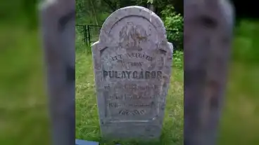 Barna Pulay Siremlek