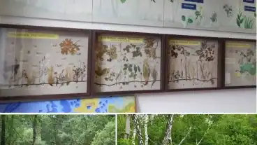 Batorliget Oslap Muzeum 01