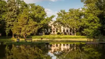 Bekescsaba Posteleki Parkerdo 1