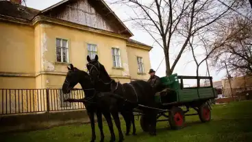 Bekesszentandras Hunyadi Kastely 01