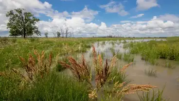 Berettyoujfalu Bihari Sik Tanosveny 1