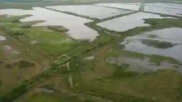 Biharugra Halastavak 1