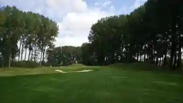 Birdland Golf Country Club