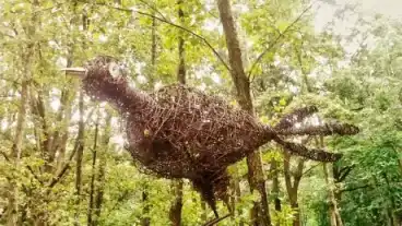 Bodehaza Hetes Baratsagpark